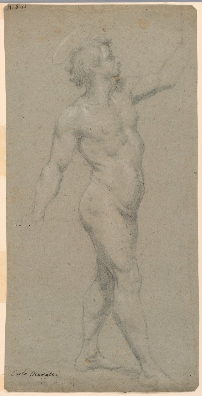 Studies of a Male Nude by Carlo Maratti