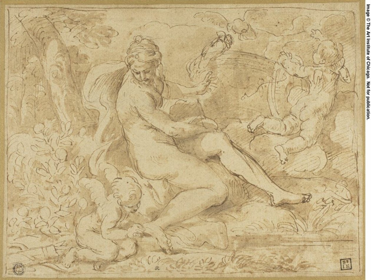 Study for the Origin of the Rose by Carlo Maratti