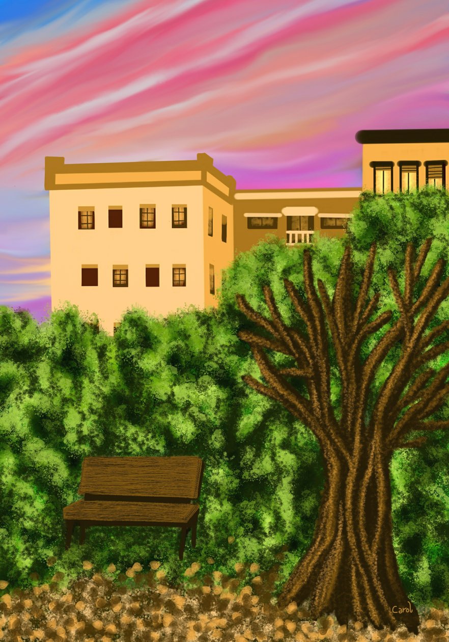 Autumn Sunrise in the City by Carol Sousa Cuello
