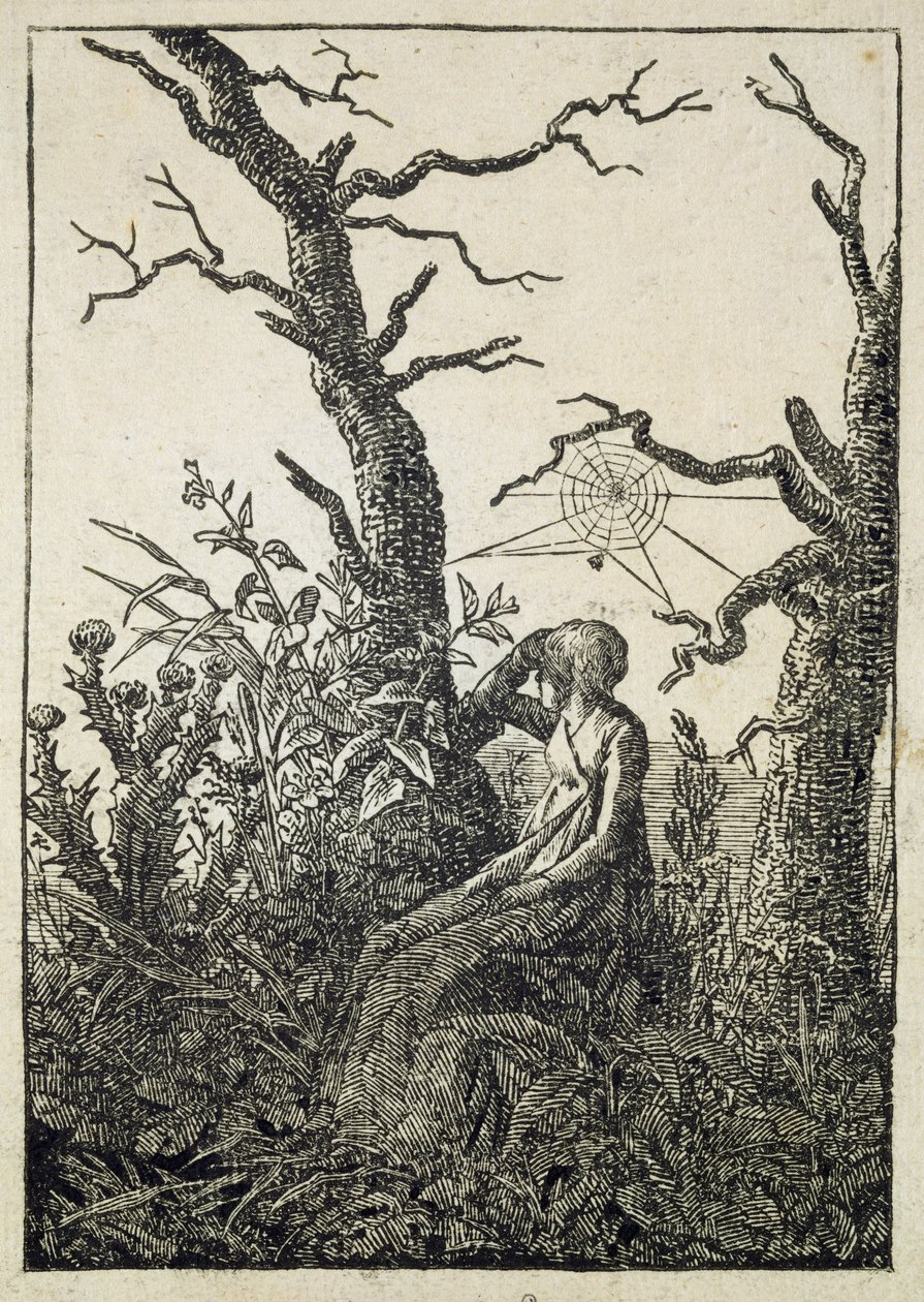 The Woman with a Spider