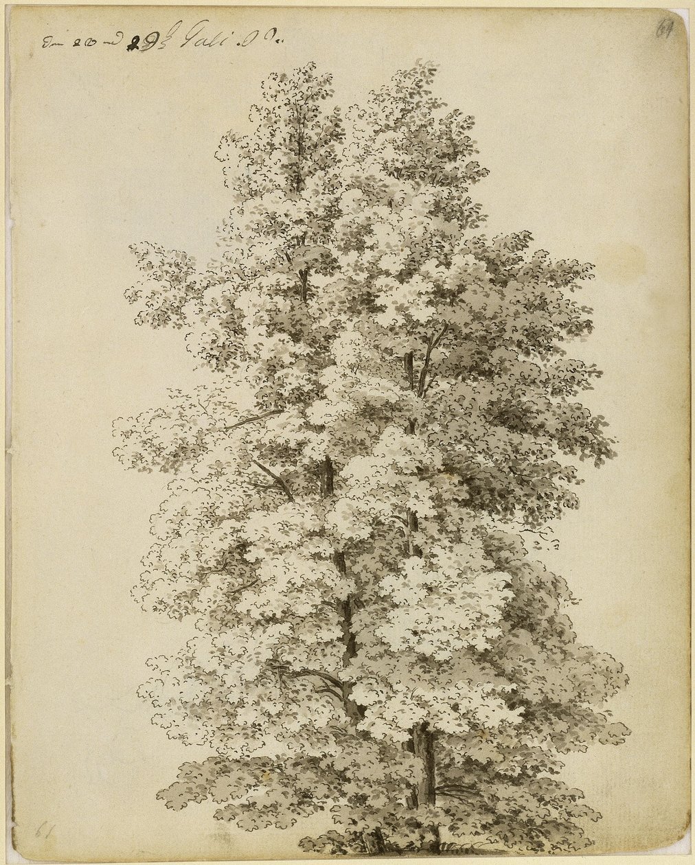 Group of Trees by Caspar David Friedrich