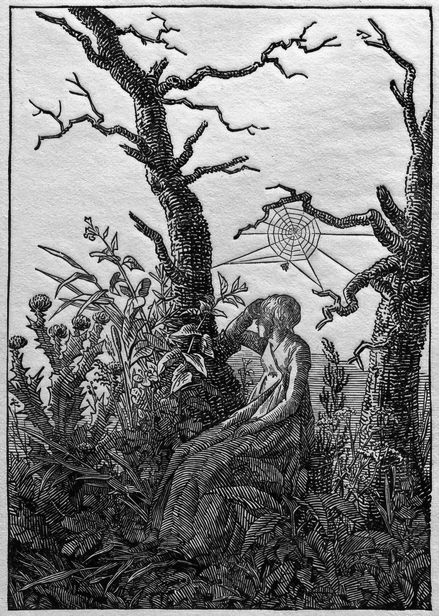 The Woman with the Spider Web Between Bare Trees by Caspar David Friedrich