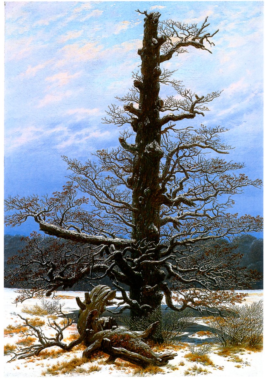 The Oak Tree in the Snow by Caspar David Friedrich