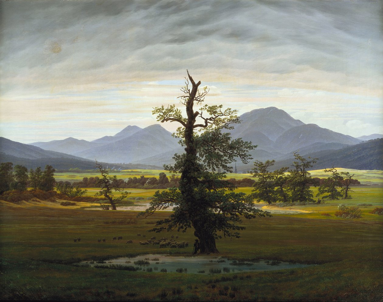 MERCY TREES オランダ写真家　Hans van Ommeren 写真集 Solitary Tree by Caspar David Friedrich: Buy fine art prints