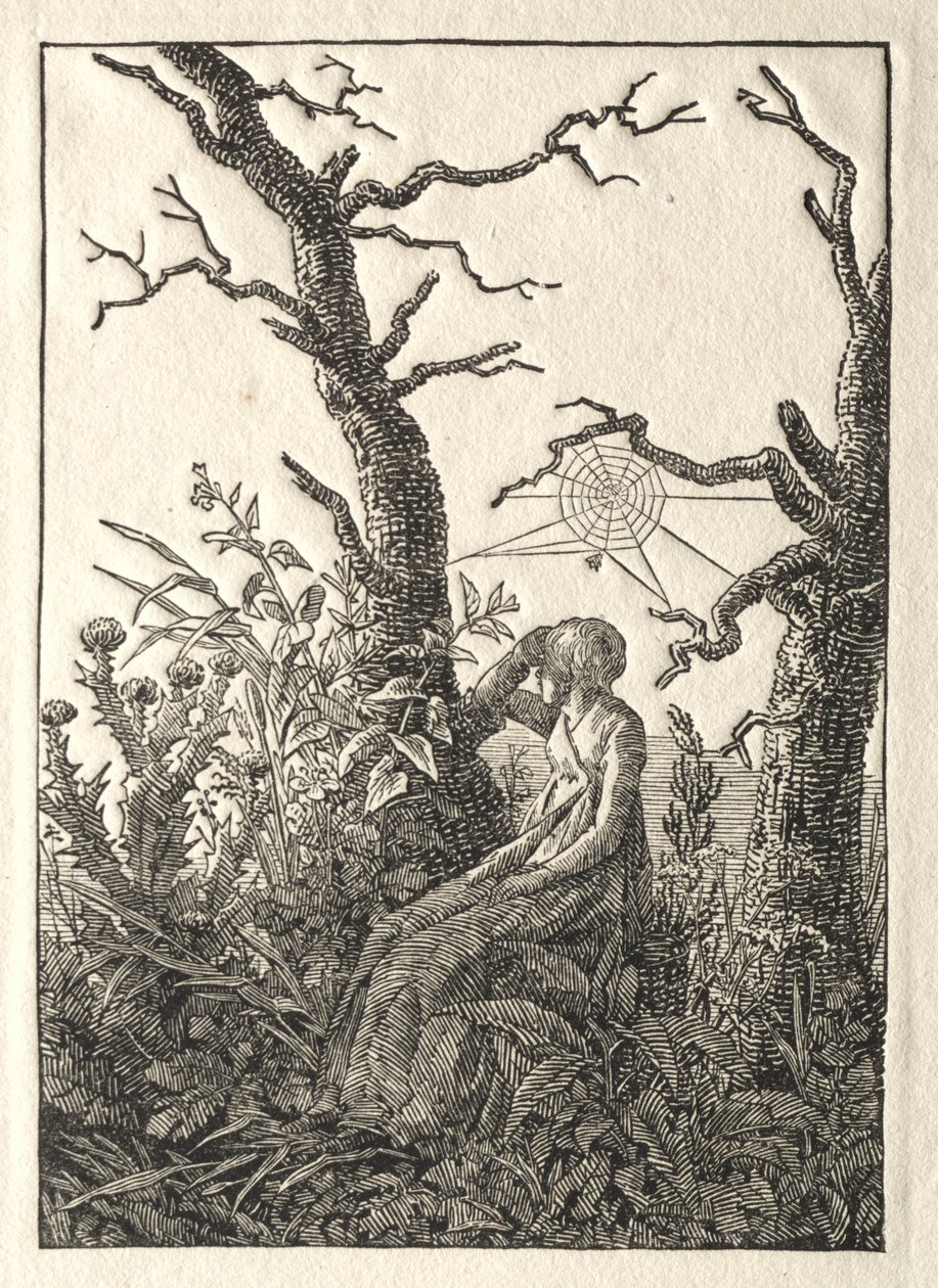 The Woman with the Spider Web between Bare Trees by Caspar David Friedrich