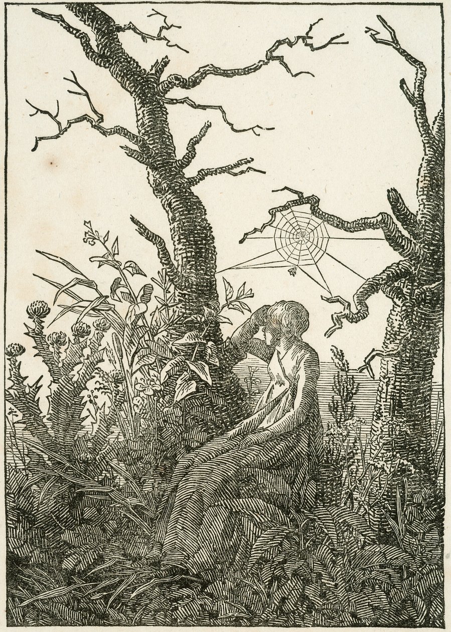 Woman with Spider