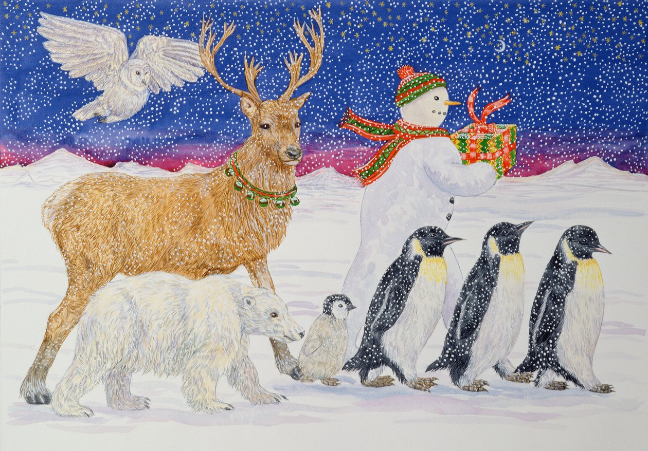 A Present for Santa by Catherine Bradbury