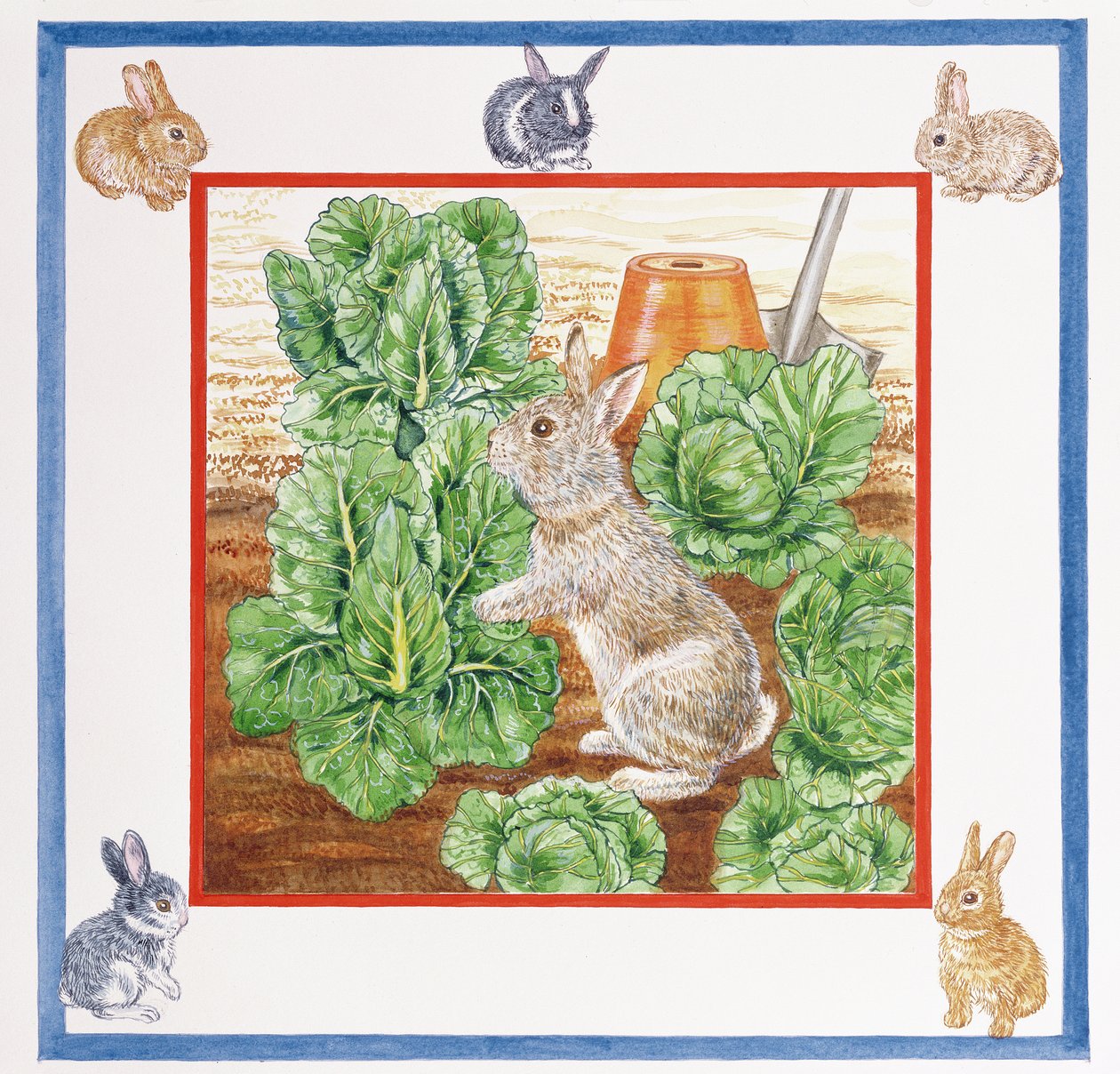 A Rabbit in the Cabbage Patch by Catherine Bradbury