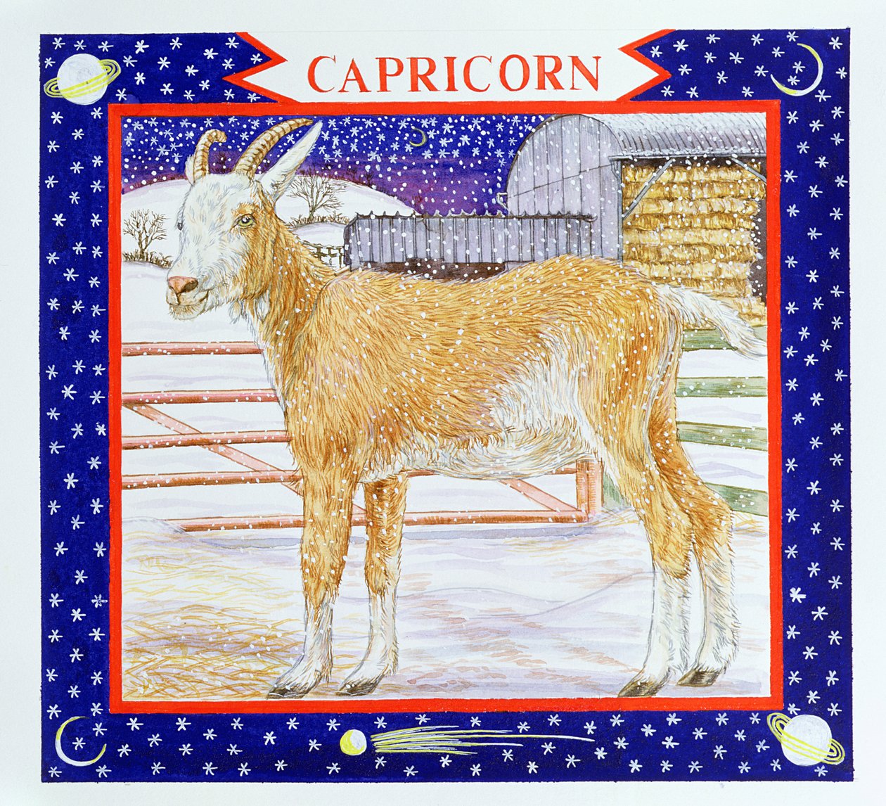 Capricorn by Catherine Bradbury