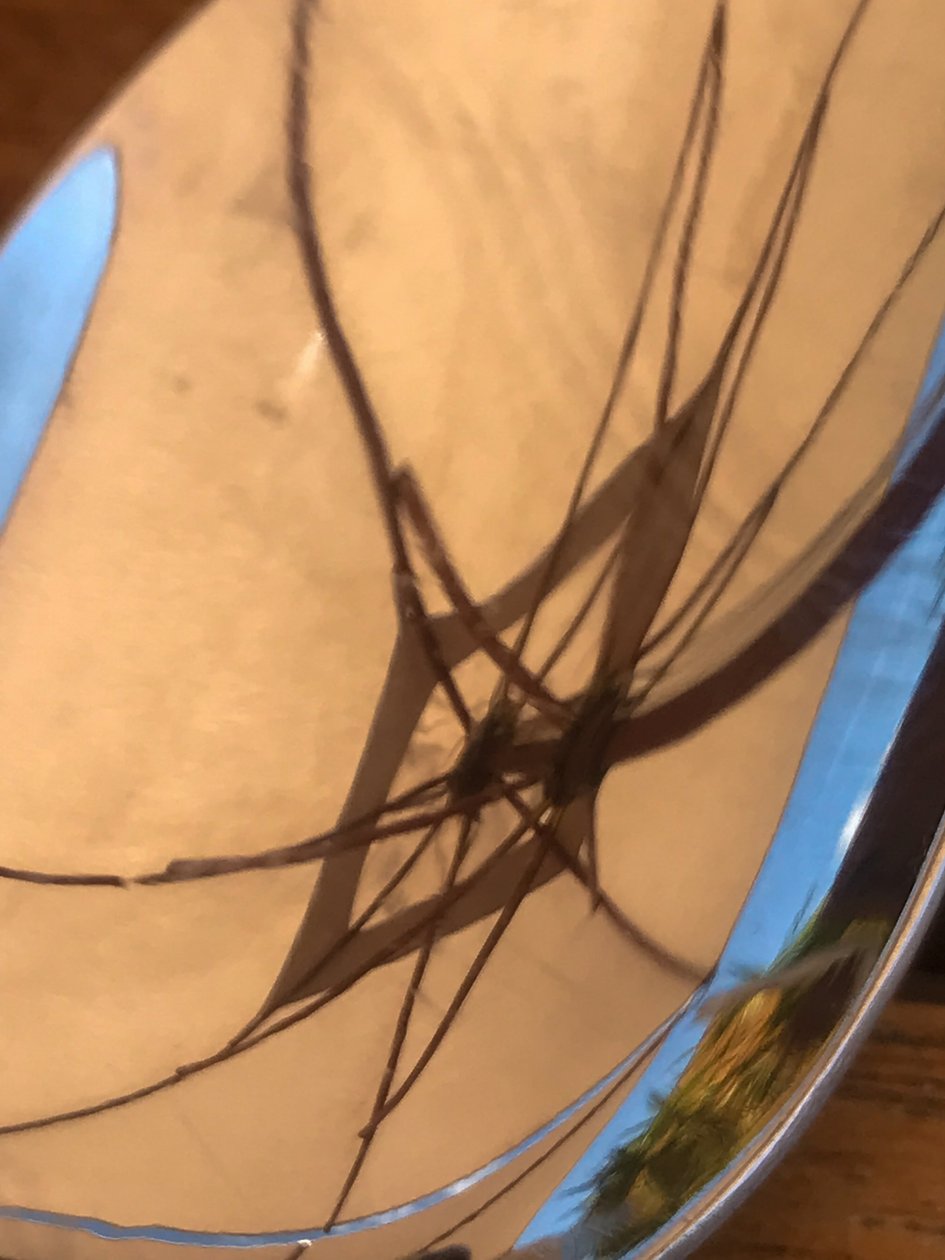 Composition - Reflections by Cécile Jamet