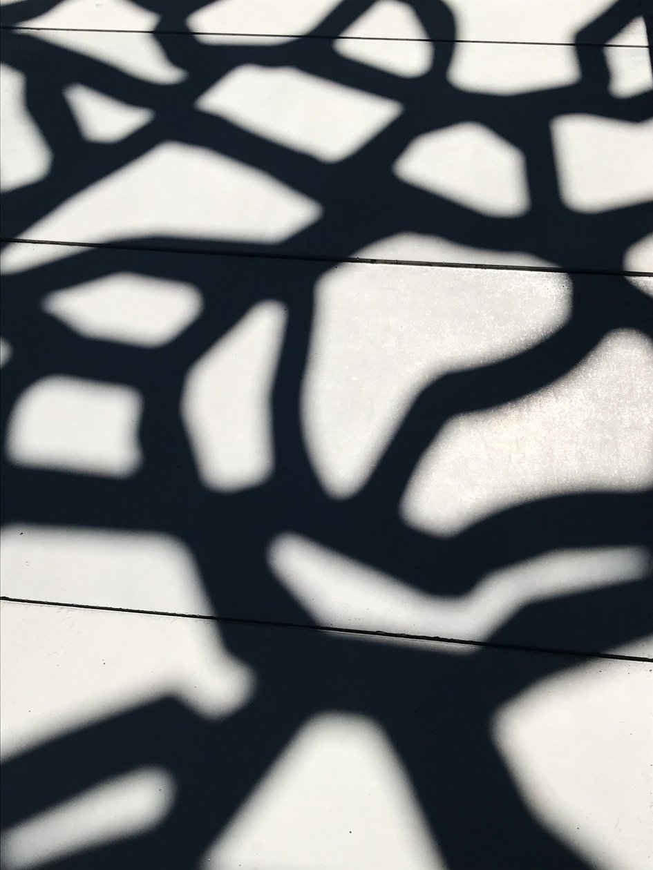 Composition - Shadows by Cécile Jamet
