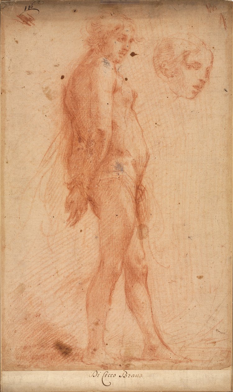 Study of a Standing Male Nude, with a Study of Head in Three-Quarter Profile by Cecco Bravo