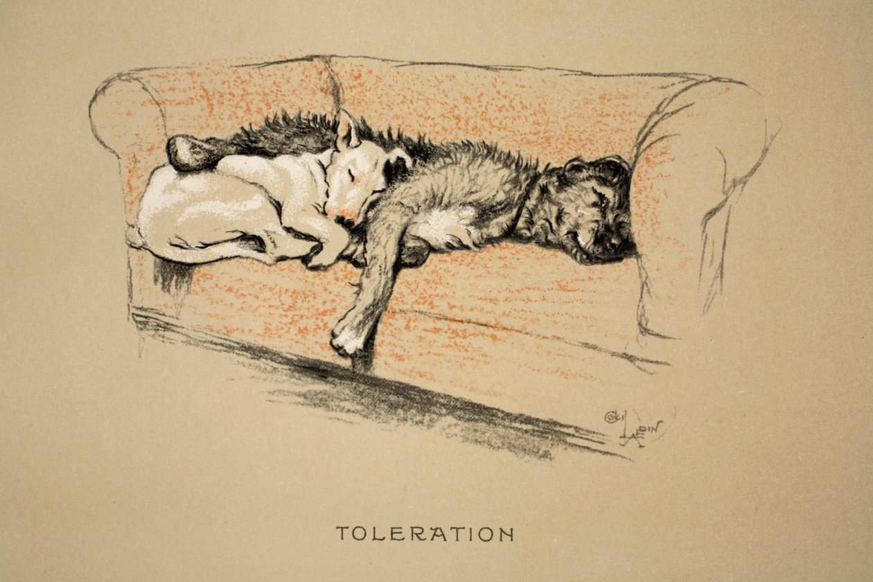Toleration, 1930, 1st Edition of 