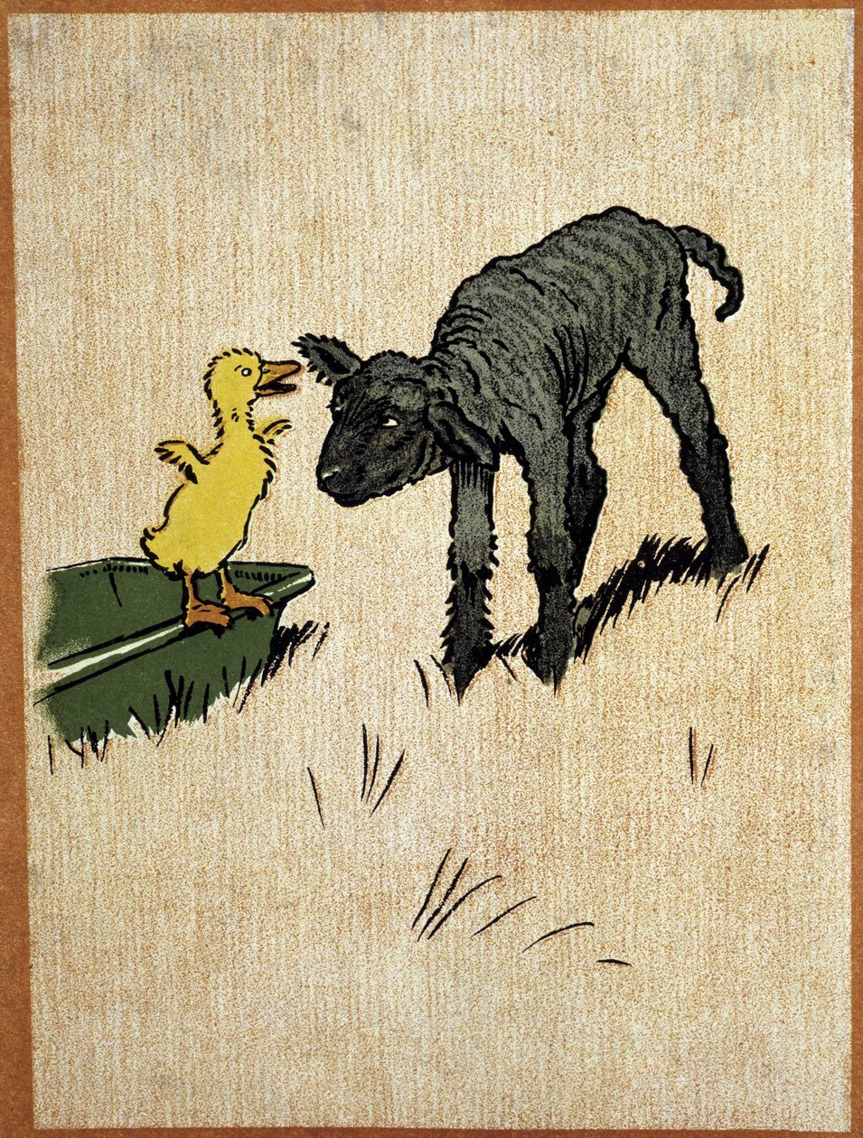 Black Lamb and Duckling - Drawing by Aldin by Cecil Charles Windsor Aldin