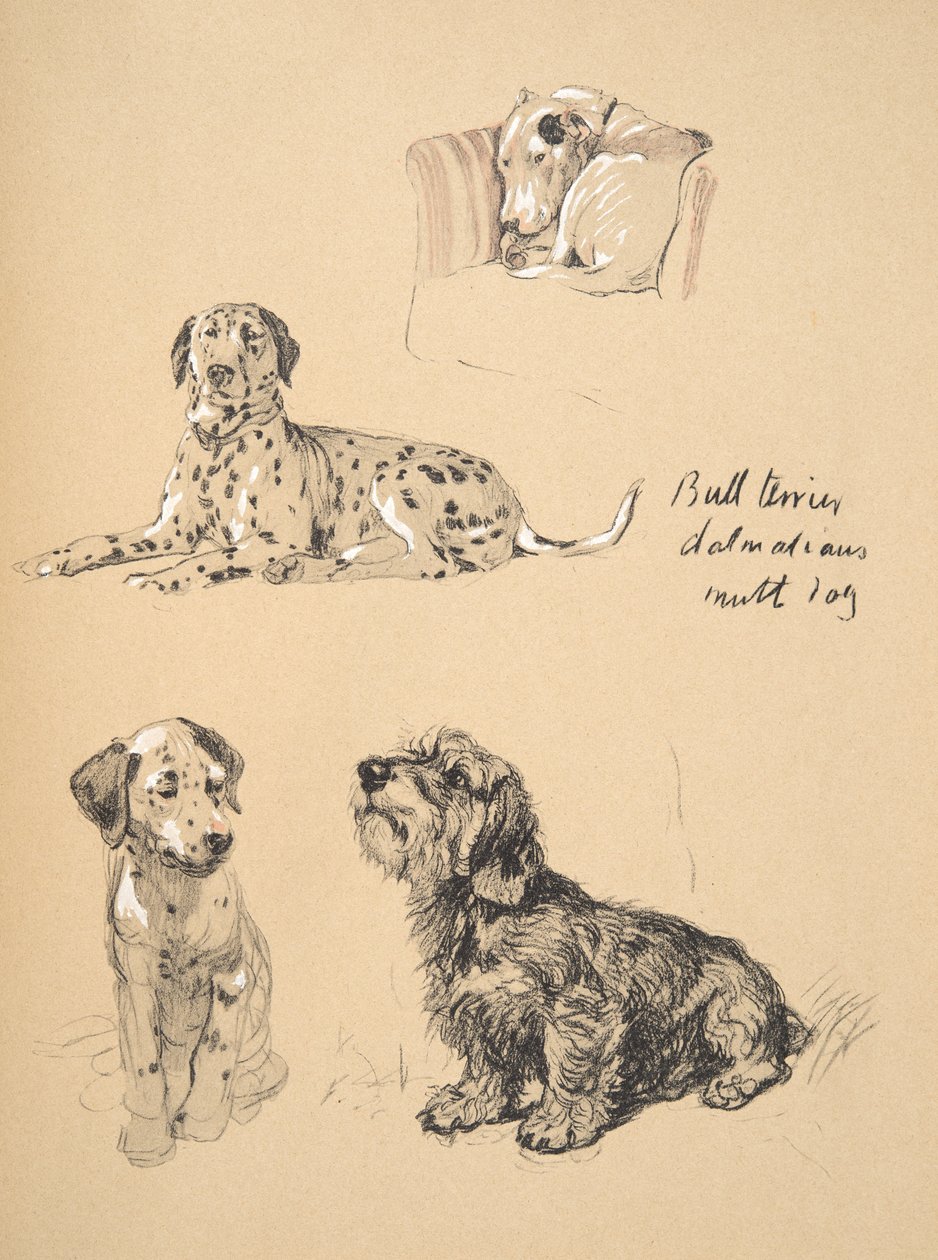 Bull Terrier, Dalmatians and Mutt Dog, 1930, Illustrations from his Sketch Book used for Just Among Friends by Cecil Charles Windsor Aldin