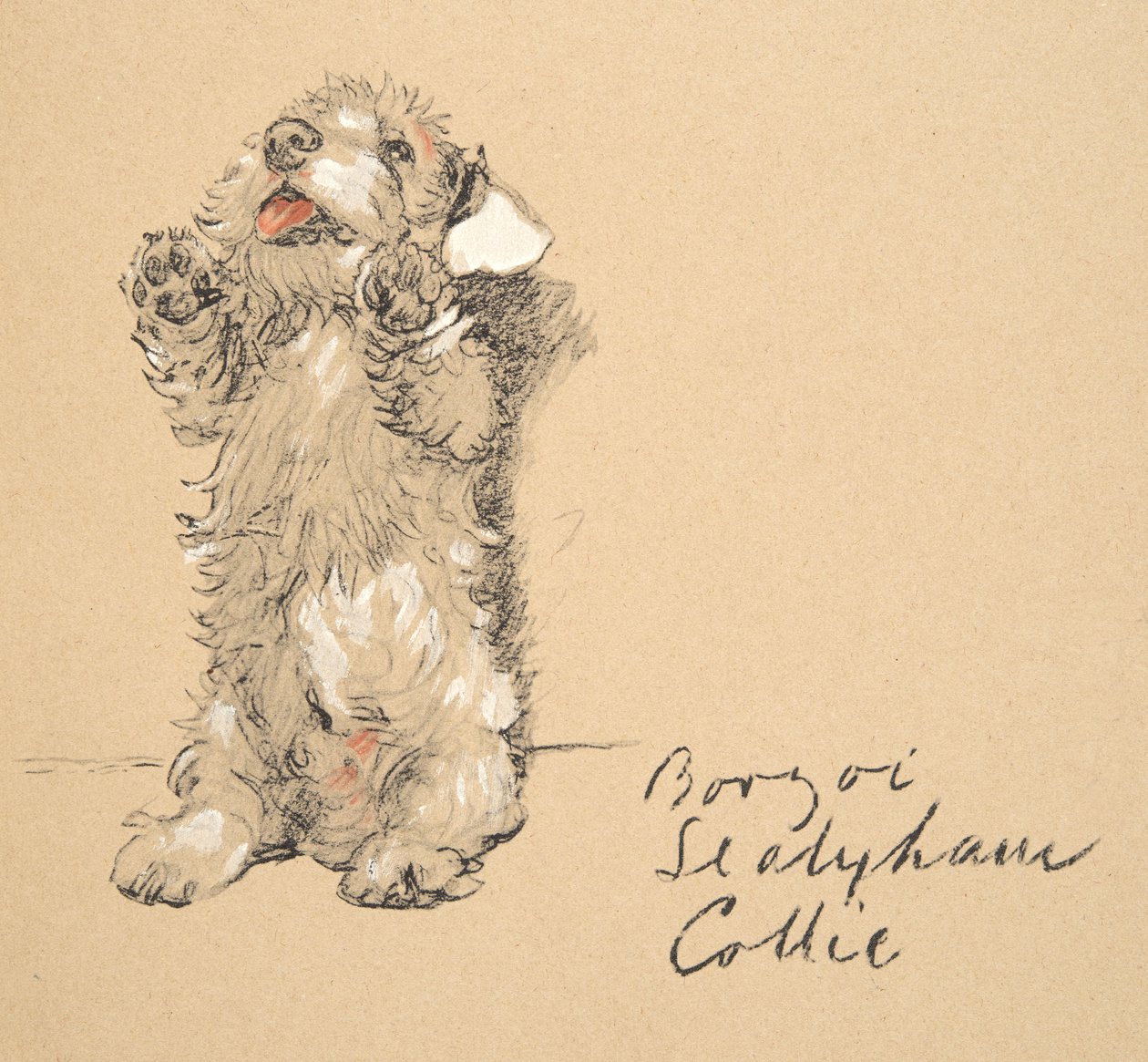 Sealyham, 1930, Illustrations from His Sketch Book Used for Just Among ...