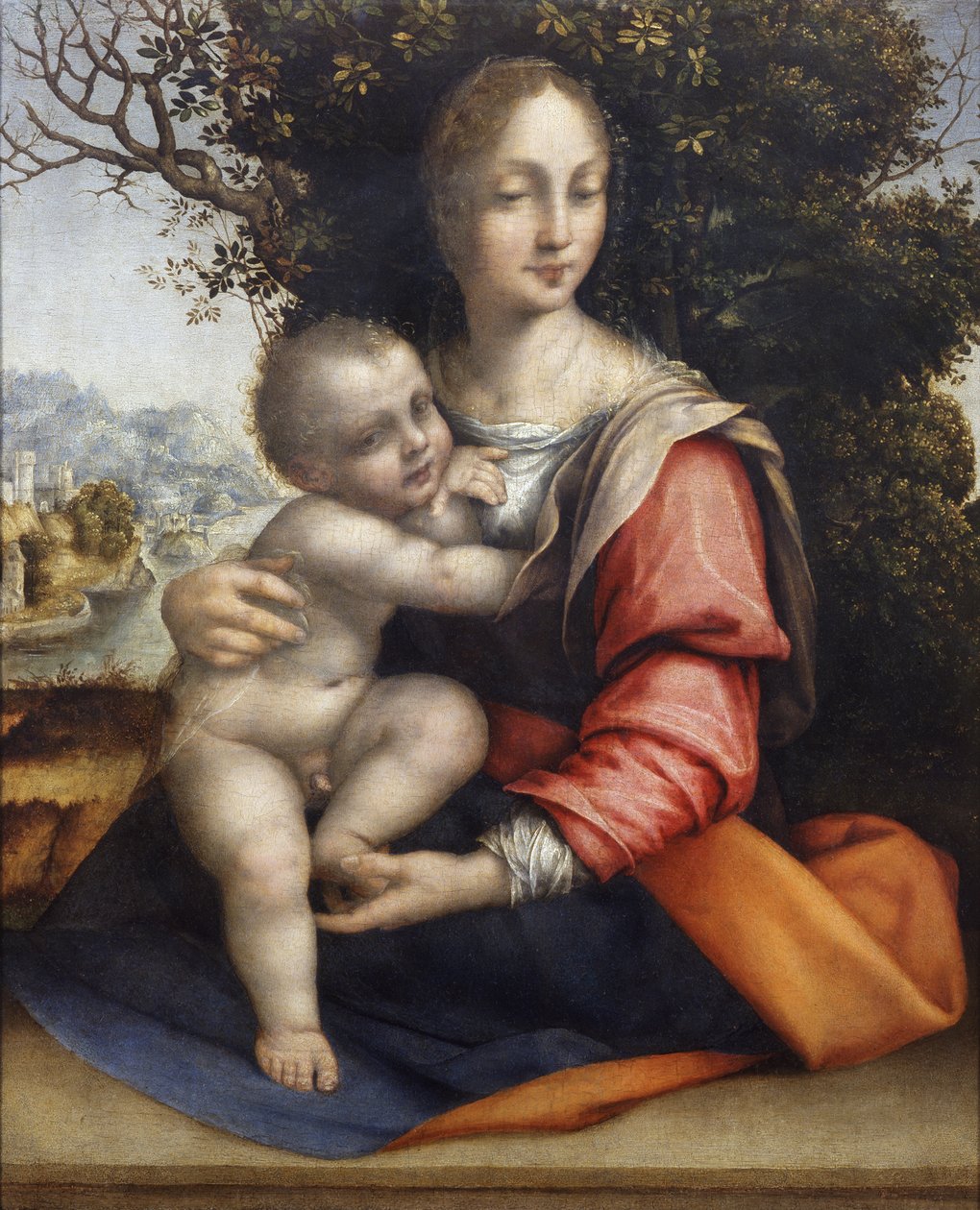 Madonna and Child (Our Lady of the Tree) by Cesare da Sesto