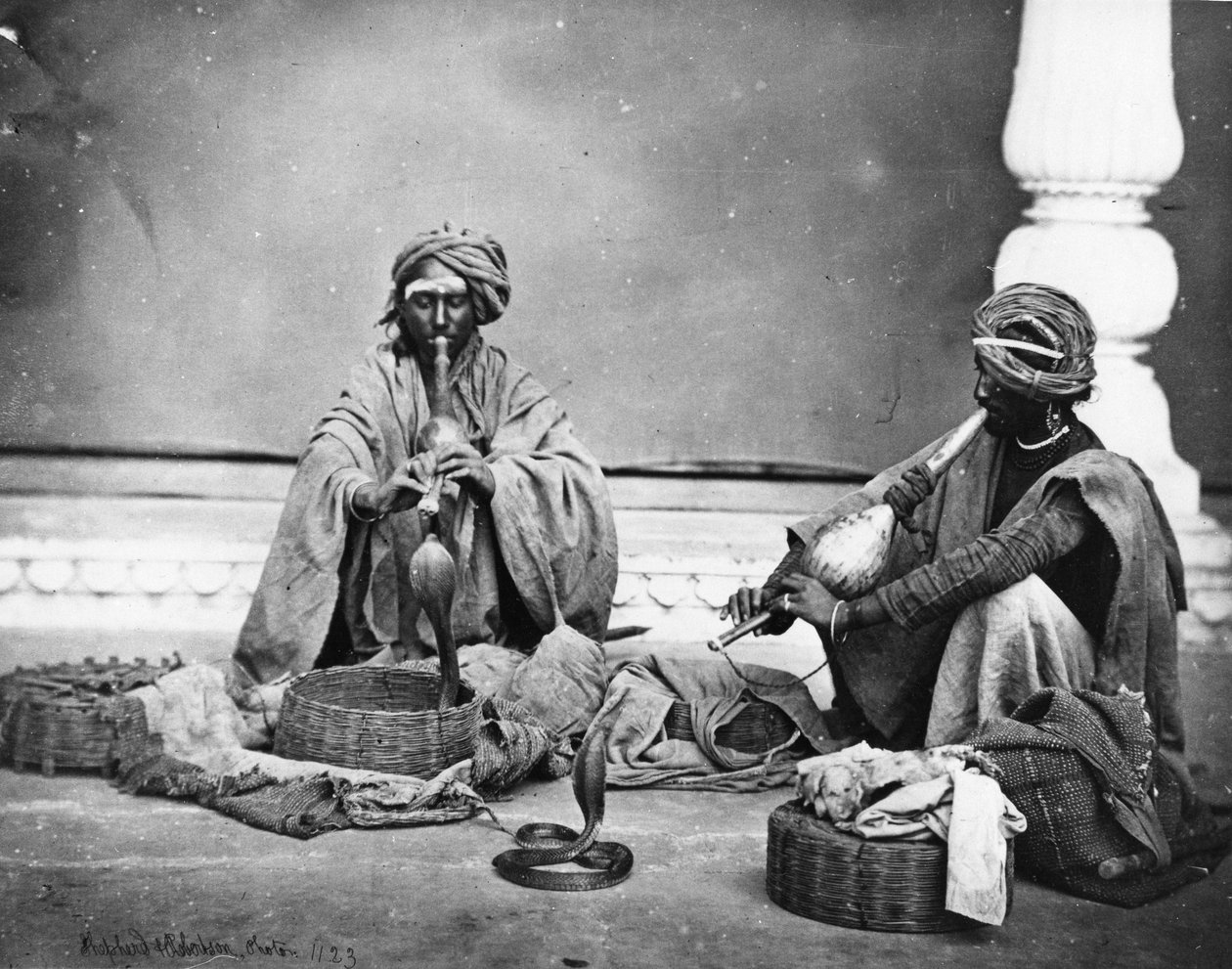 Snake Charmers by Charles Robertson: Buy fine art prints