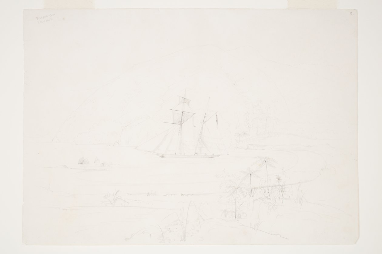 Flatfish Cove, Queen Charlotte Sound by Charles Heaphy