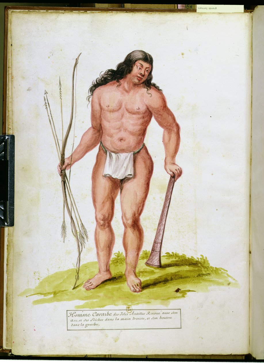 Native of the Caribbean with his weapons, from a manuscript on plants and civilization in the Antilles, c.1686  by Charles Plumier