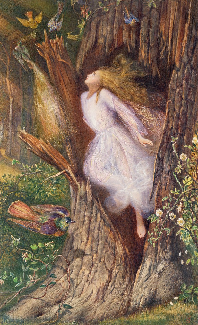 Apollo Laurel Tree