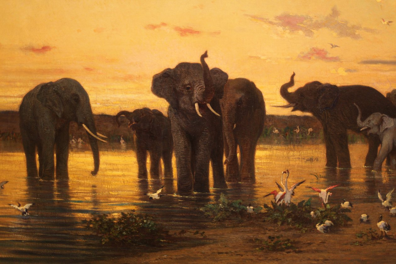 African elephants by Charles Émile de Tournemine
