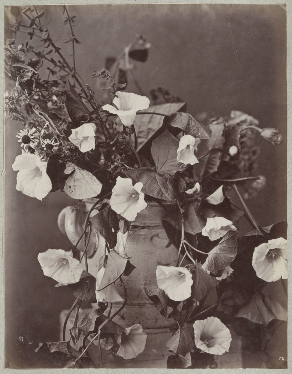 Flower Study with Cologne Pot by Charles Aubry (manner of)