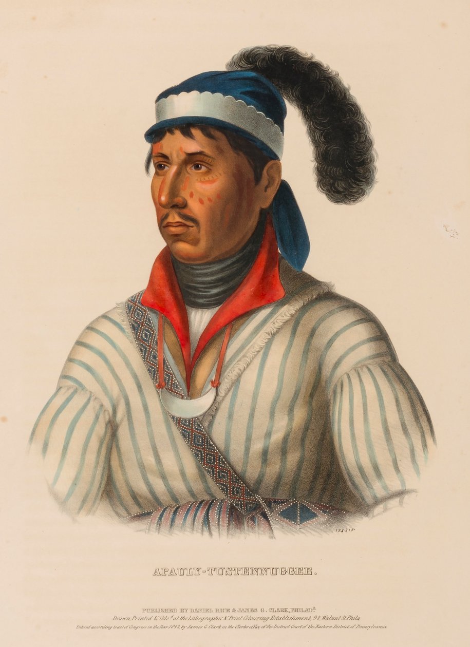 APAULY-TUSTENNUGGEE, from History of the Indian Tribes of North America by Charles Bird King
