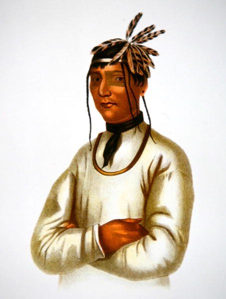Caatousee of the Chippewa Tribe by Charles Bird King
