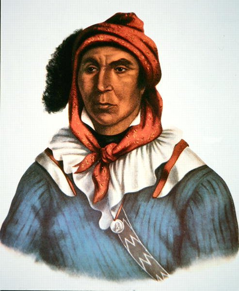 Julcee Mathla by Charles Bird King