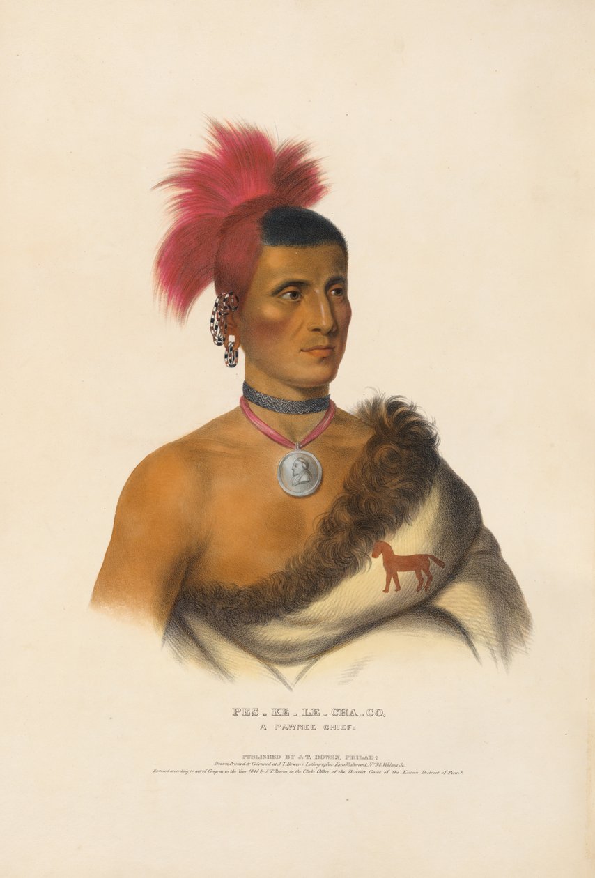 Pes-ke-le-cha-co - A Pawnee Chief by Charles Bird King