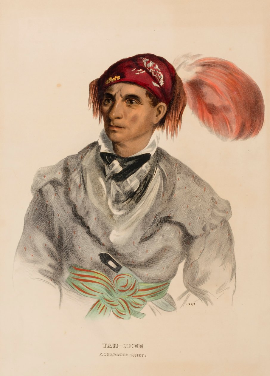 Tah-Chee (Dutch), A Cherokee Chief, from History of the Indian Tribes of North America by Charles Bird King