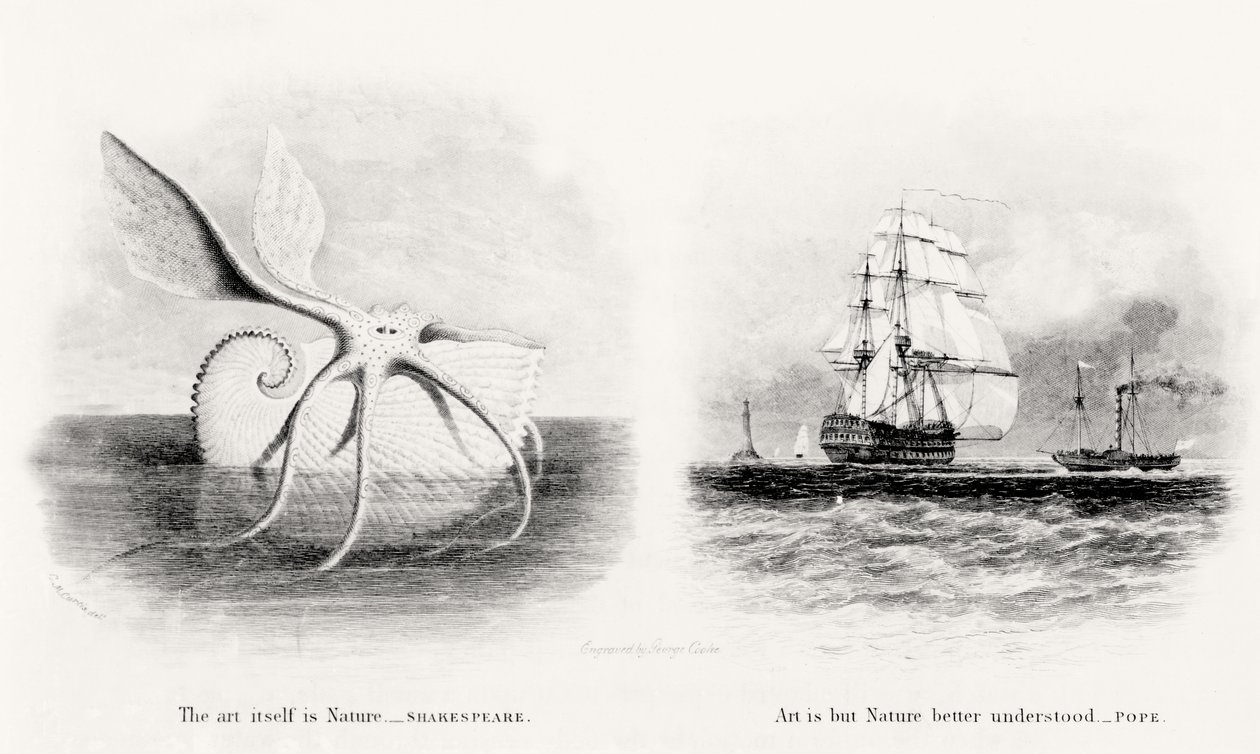 A Giant Squid and Two Ships at Sea, Engraved by George Cooke (1781-1834) by Charles Curtis