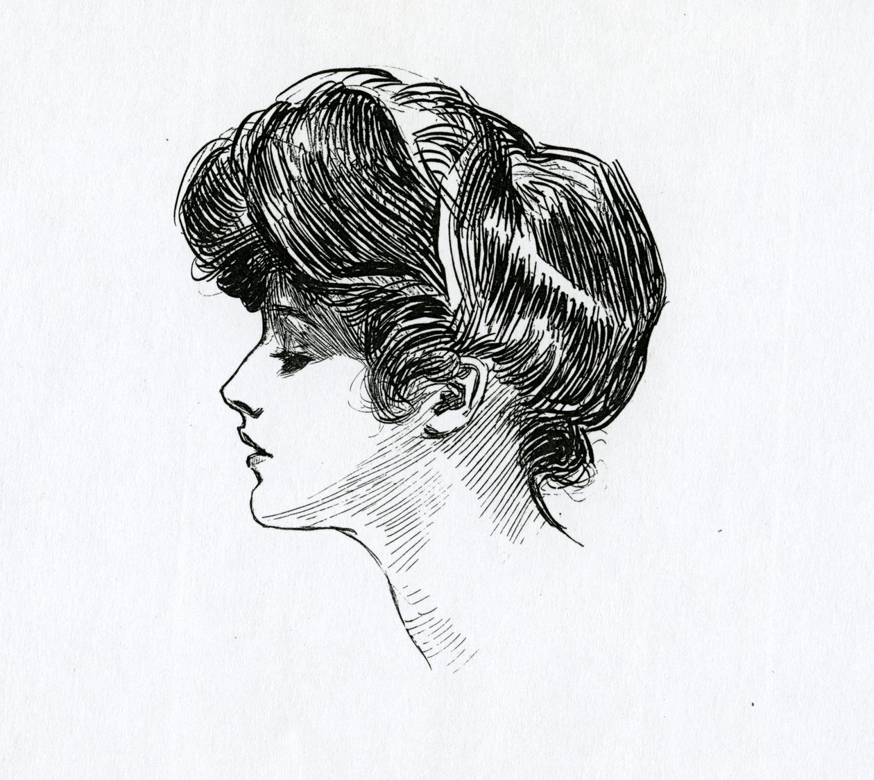 A Gibson Girl, c.1902 by Charles Dana Gibson