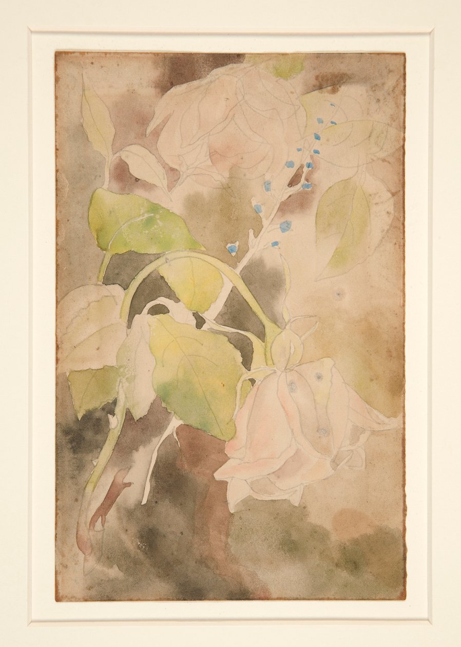 Peachy Rose by Charles Demuth