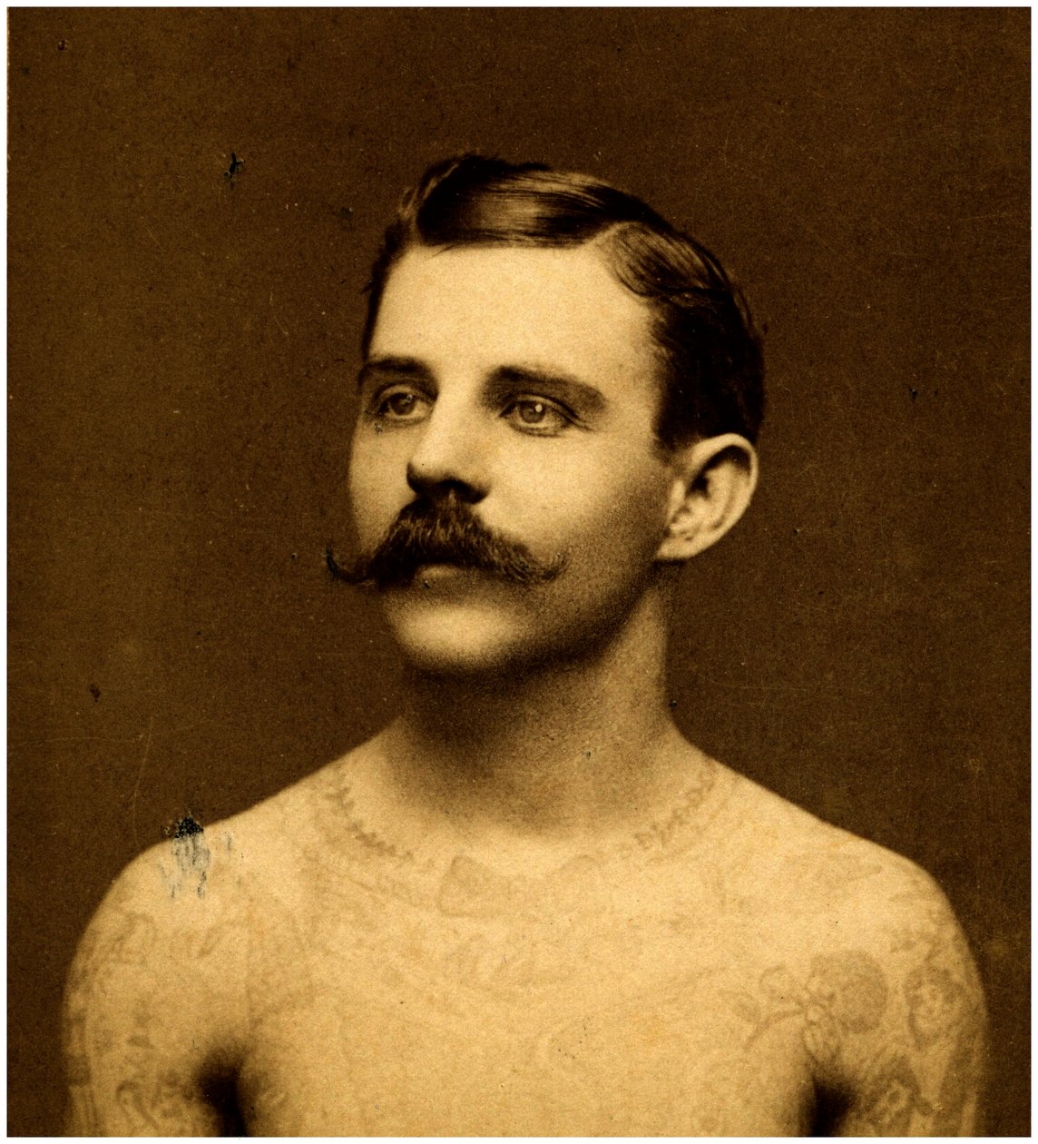 Frank Howard the tattooed man, c.1900 by Charles Eisenmann