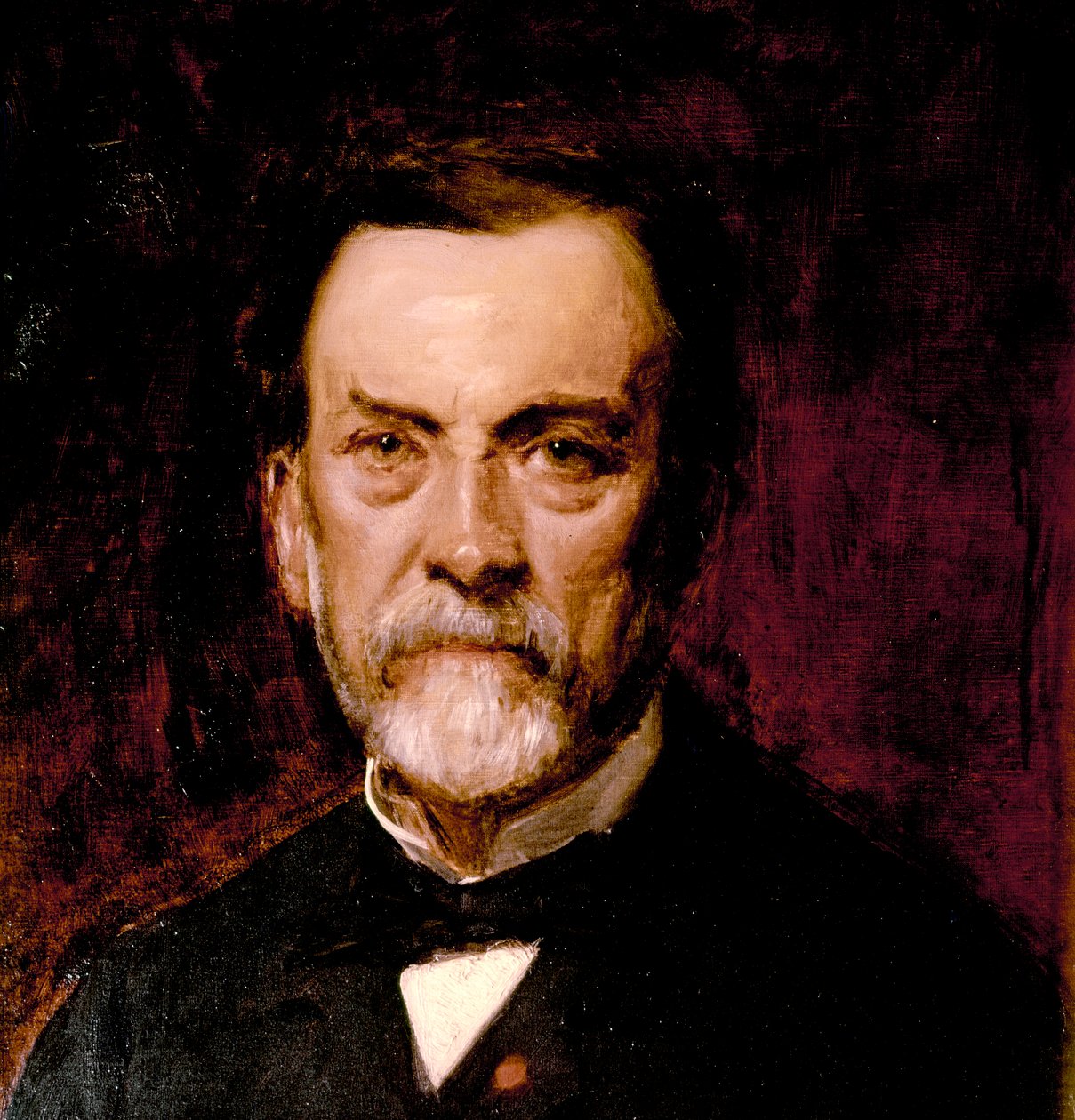 Portrait of Louis Pasteur by Charles Emile Auguste Carolus-Duran