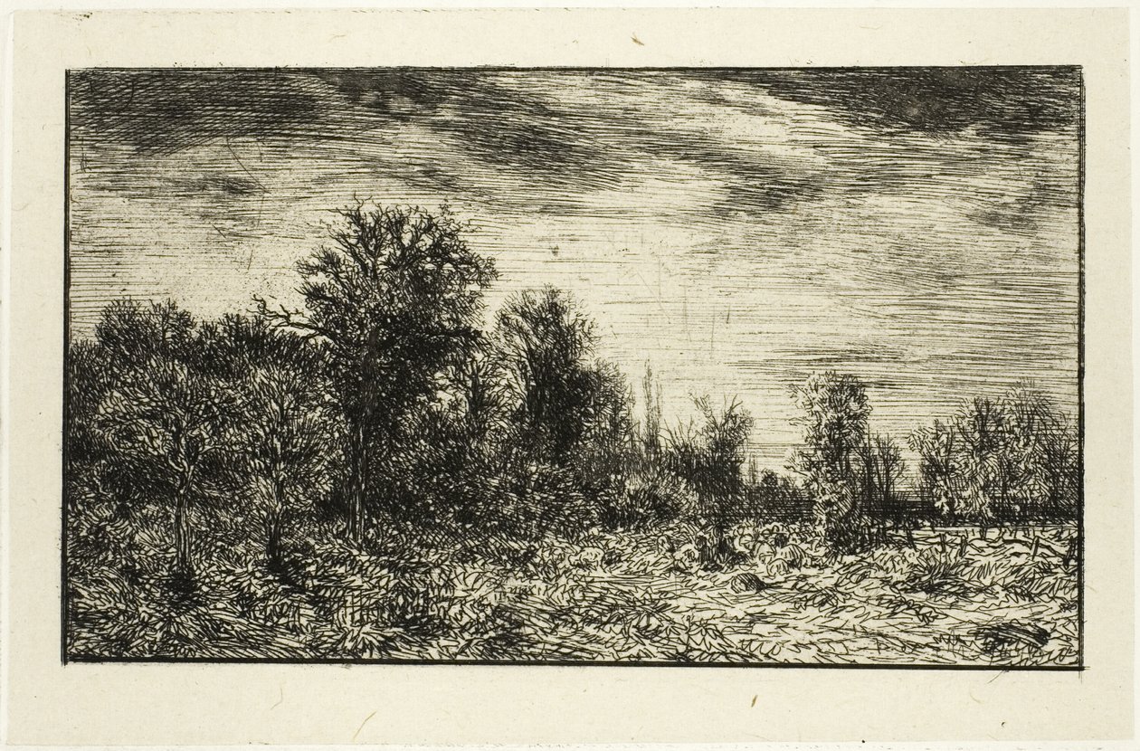 Edge of a Wood, under Cloudy Sky by Charles Emile Jacque