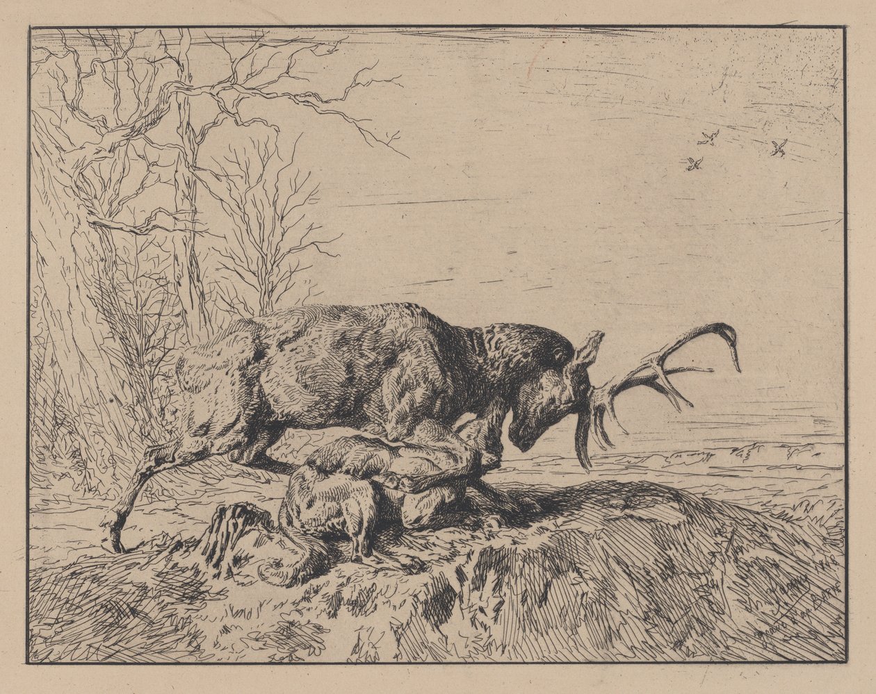 Stag Fighting a Wolf, after Antoine Louis Barye by Charles Emile Jacque