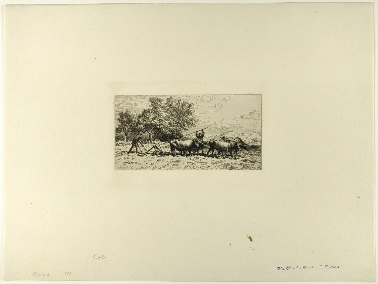 Team of Oxen by Charles Emile Jacque