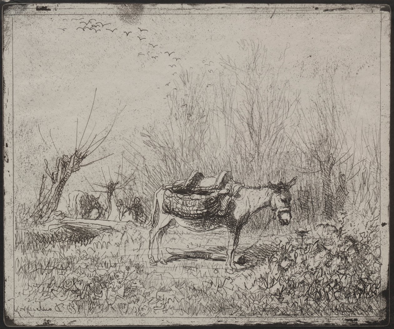 A Donkey in the Field by Charles Francois Daubigny