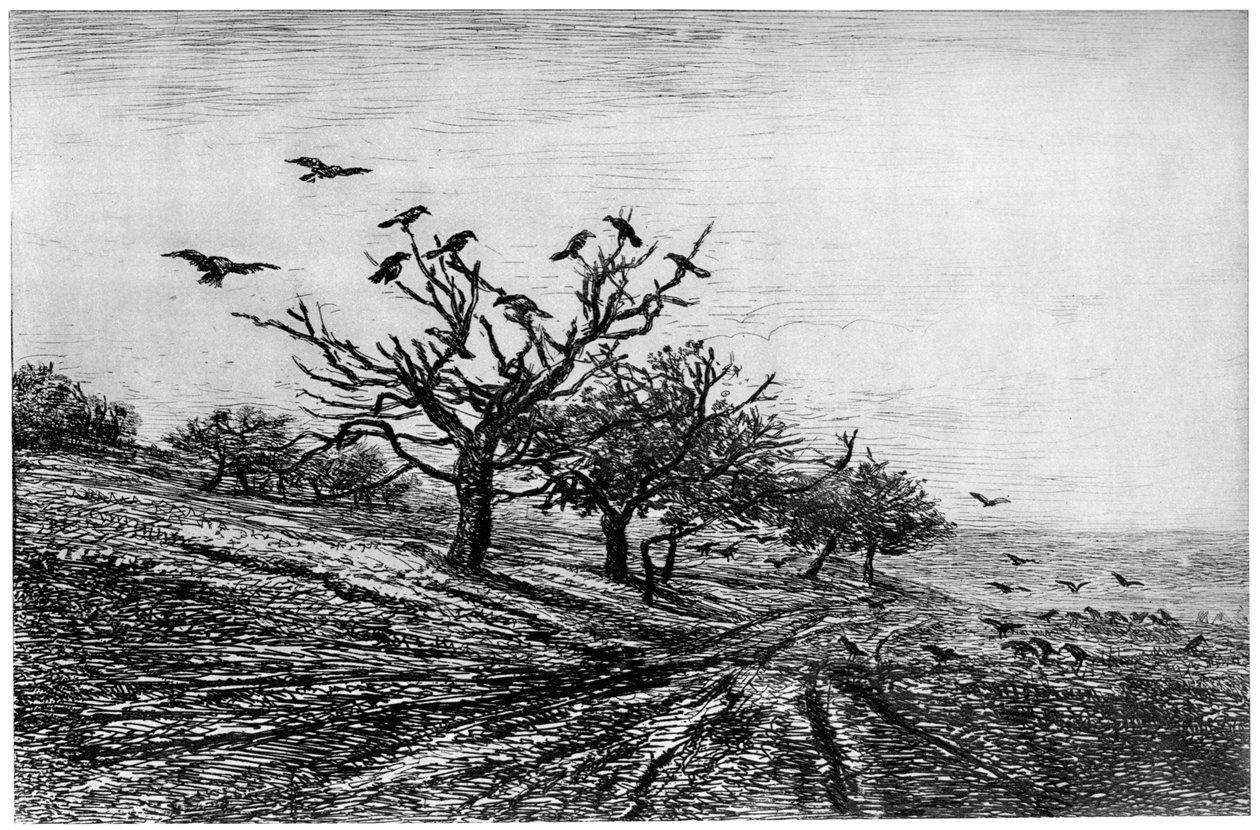Tree with Crows by Charles Francois Daubigny