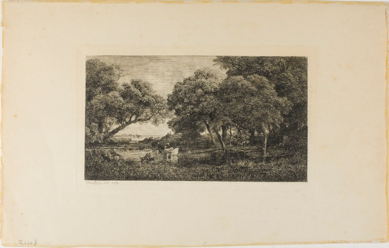 Cattle by a Pool by Charles Francois Daubigny