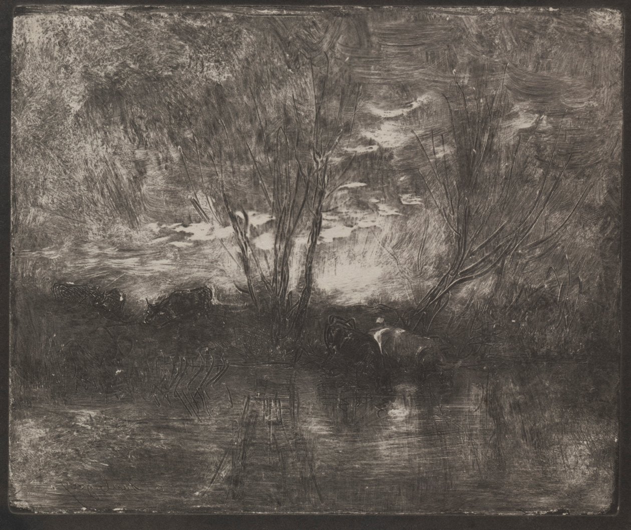 Cows at a Watering Place by Charles Francois Daubigny