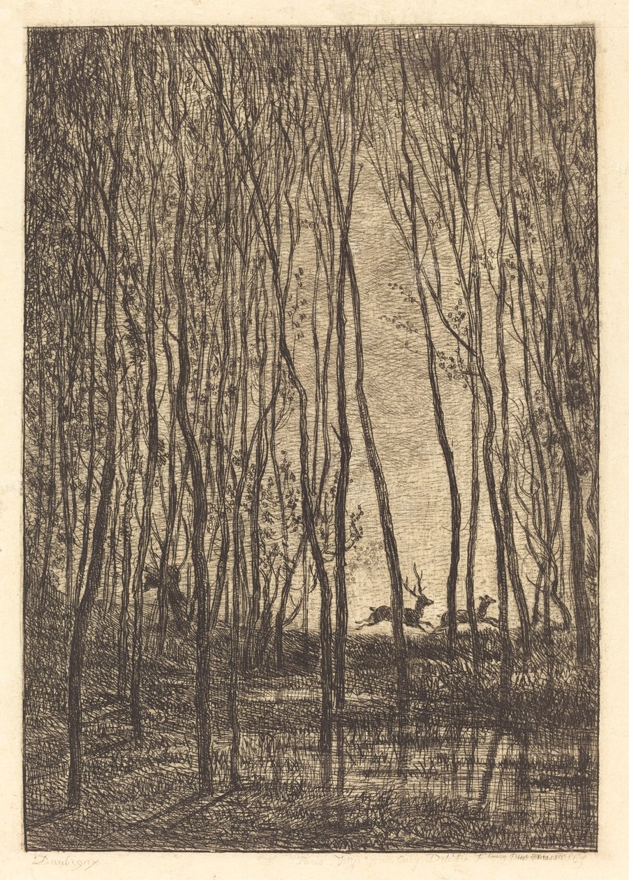 Deer in the Woods by Charles Francois Daubigny
