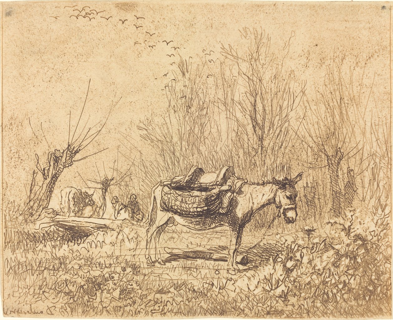 Donkey in a Field by Charles Francois Daubigny