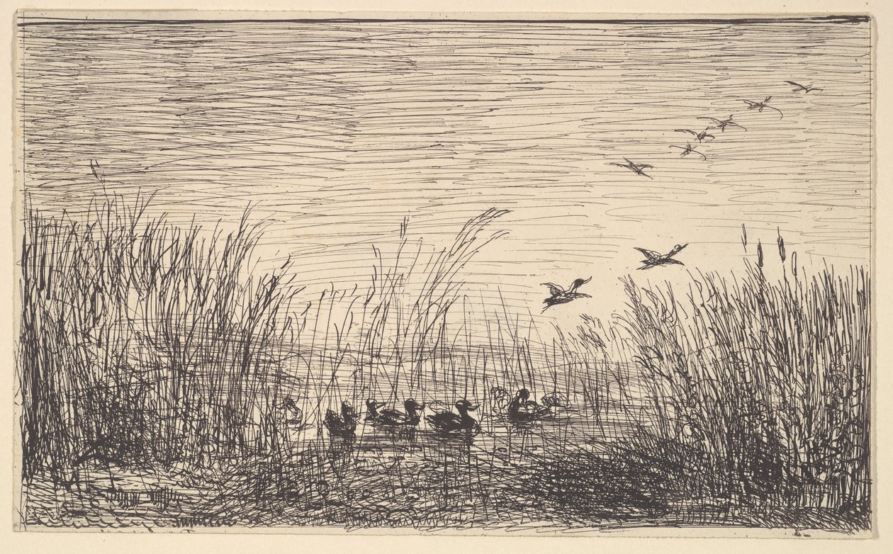 Ducks in the Marshes by Charles Francois Daubigny