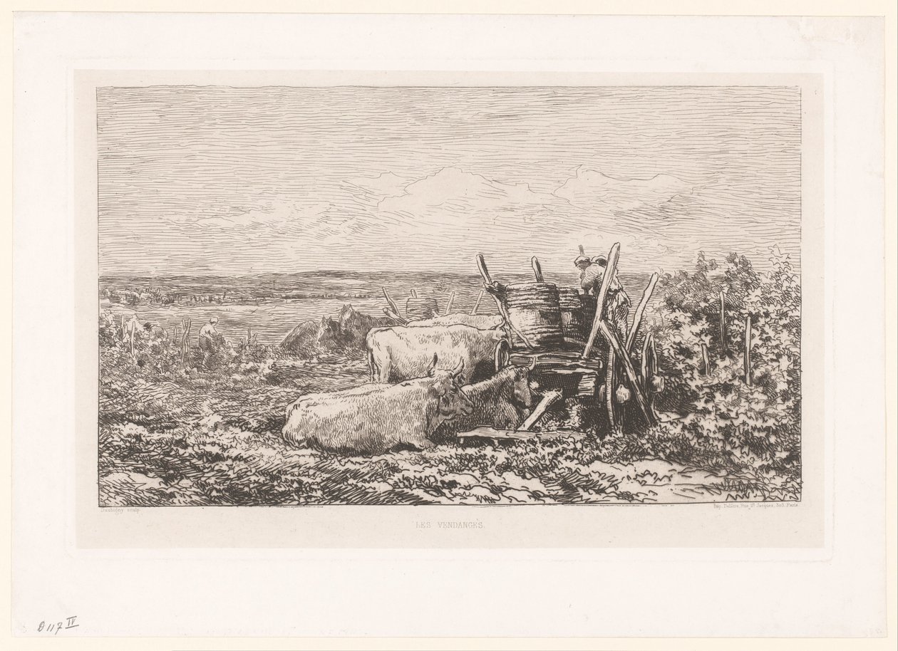 Landscape with Resting Cattle Among Vines by Charles Francois Daubigny