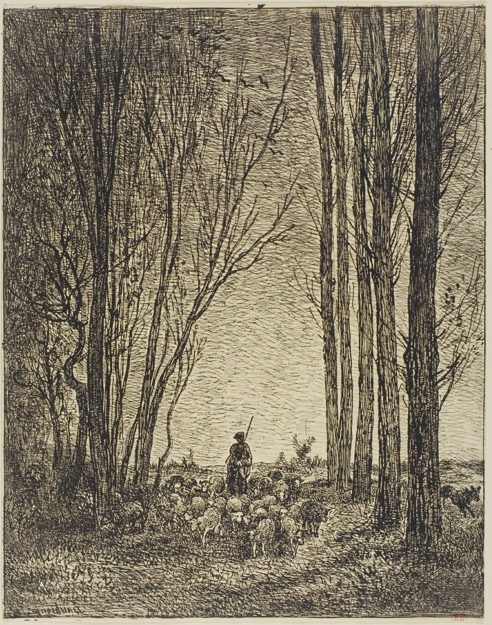Return of the Flock by Charles Francois Daubigny