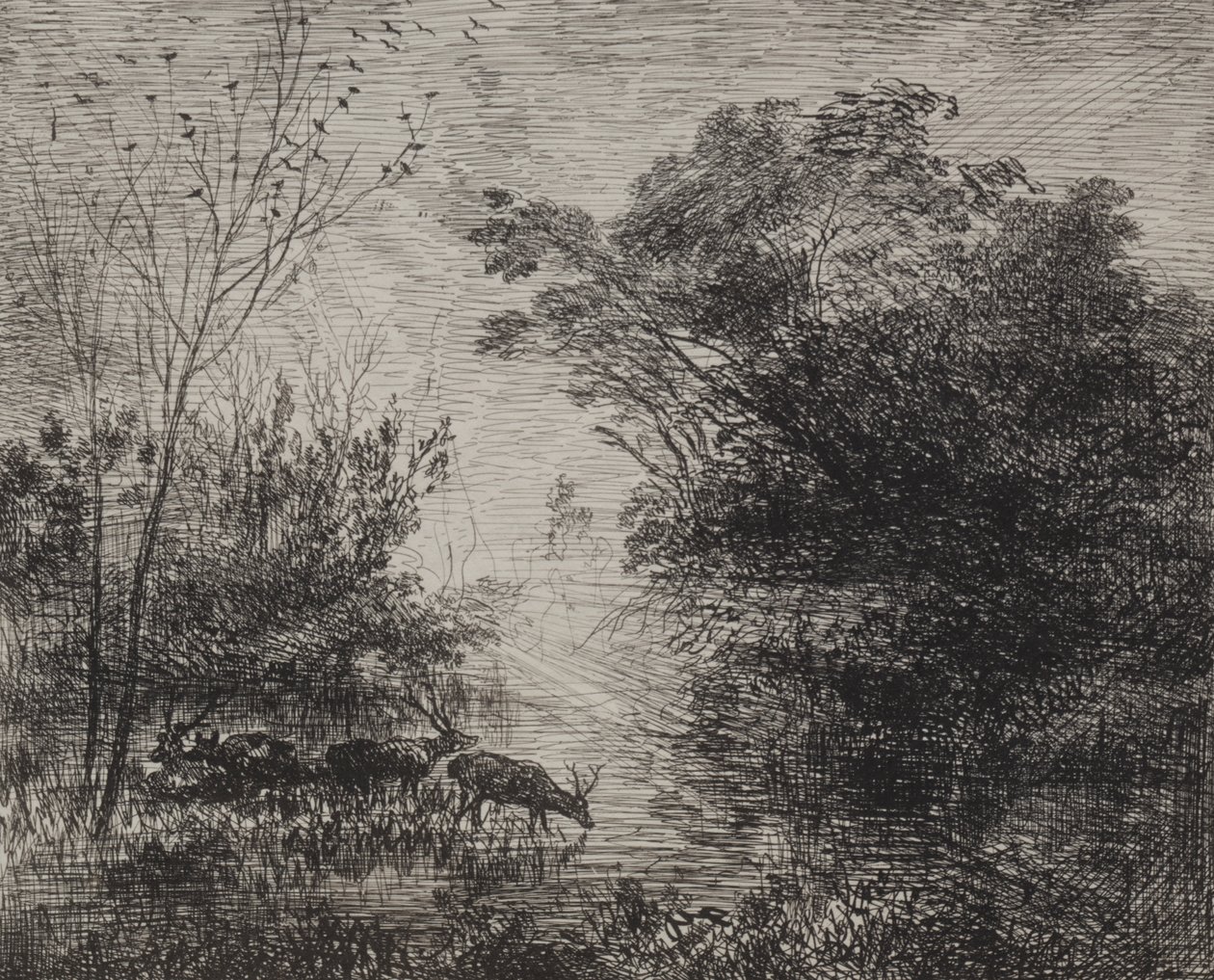 Stags by Charles Francois Daubigny